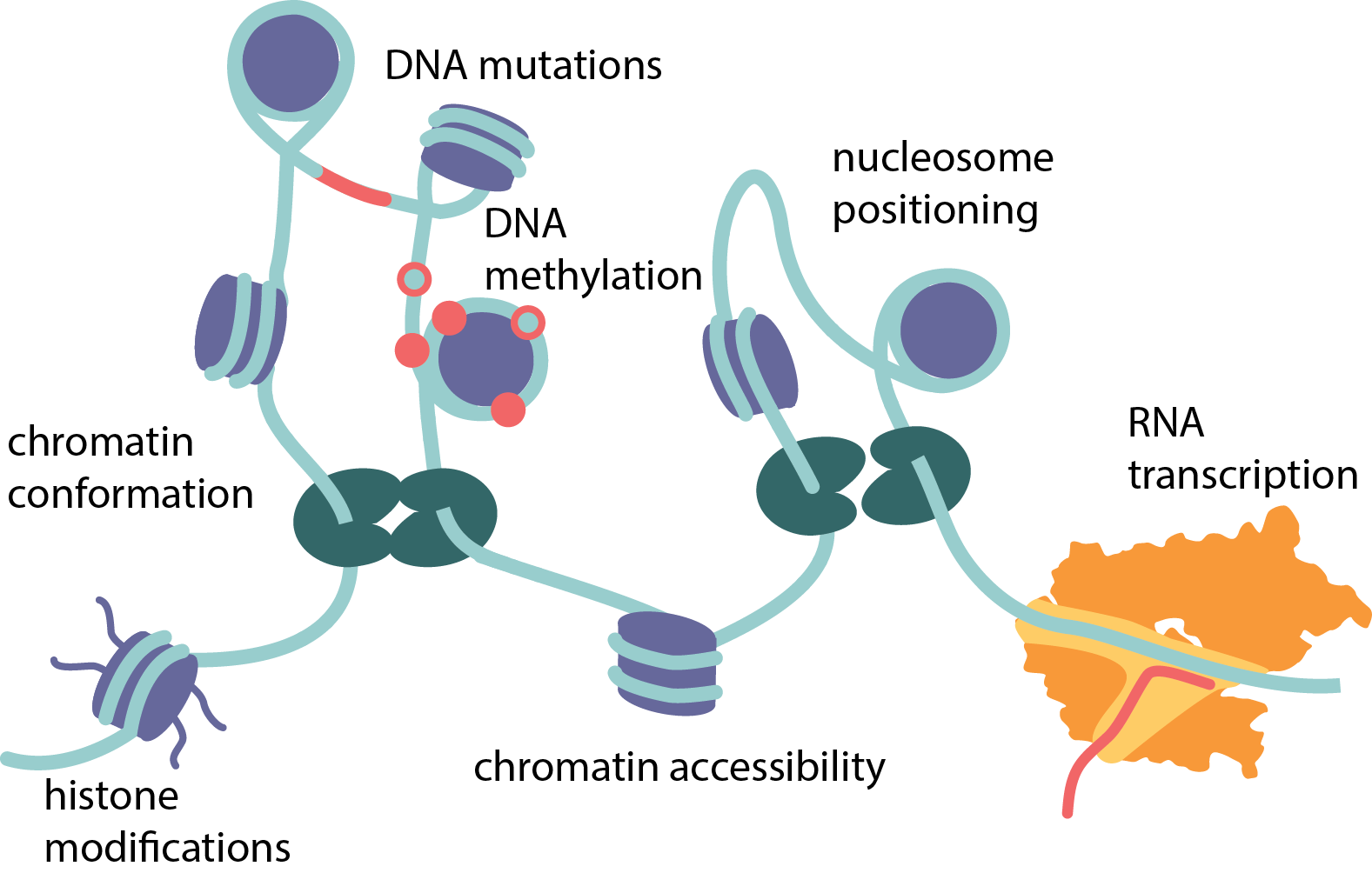 omics overview