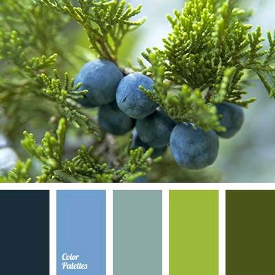 Color Palette